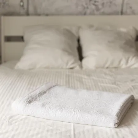 Appartement Botanique Proche Lille * Lille